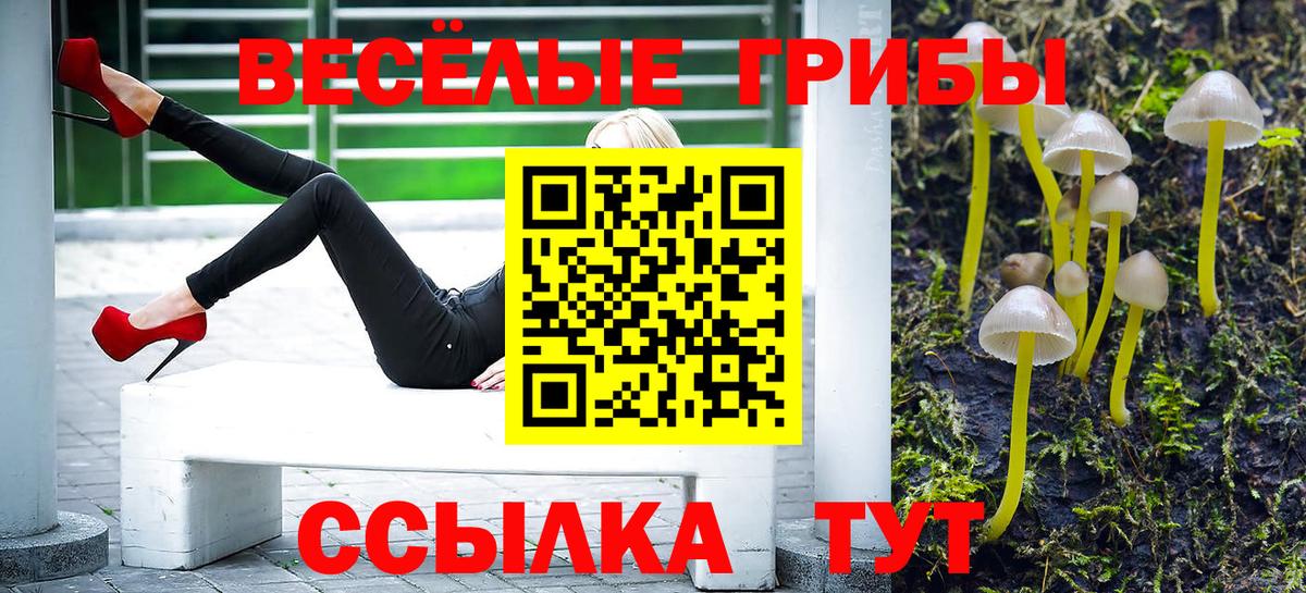 Псилоцибиновые грибы Psilocybine cubensis Железногорск