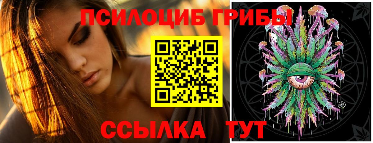 Галлюциногенные грибы мухоморы  Вход с VPN  Железногорск 